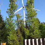 Des Platanes Entre L'alsace Et Les Vosges Nature
