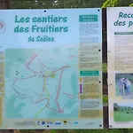 Des Platanes Entre L'alsace Et Les Vosges Nature *