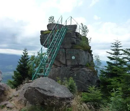 Horská chata Des Platanes Entre L'alsace Et Les Vosges Nature *