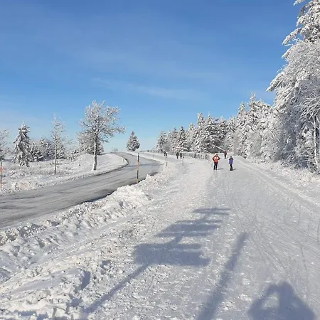 Des Platanes Entre L'alsace Et Les Vosges Nature La Grande Fosse