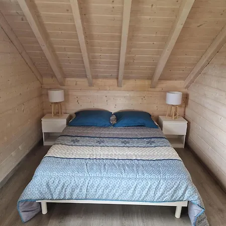 Des Platanes Entre L'alsace Et Les Vosges Nature