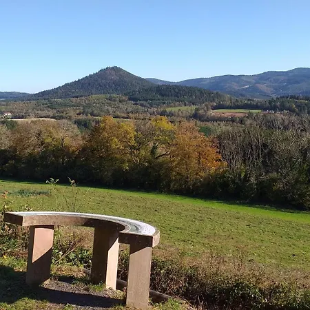 Des Platanes Entre L'alsace Et Les Vosges Nature Chalet La Grande Fosse