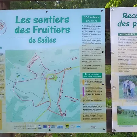 Des Platanes Entre L'alsace Et Les Vosges Nature *