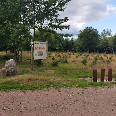 Des Platanes Entre L'alsace Et Les Vosges Nature La Grande Fosse