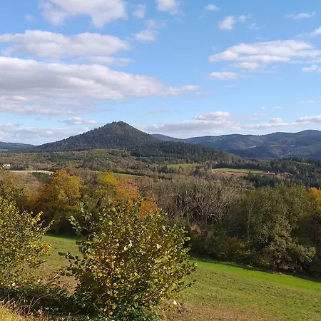 Des Platanes Entre L'alsace Et Les Vosges Nature * La Grande Fosse