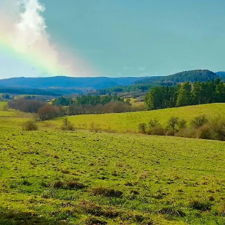 Des Platanes Entre L'alsace Et Les Vosges Nature Chalet