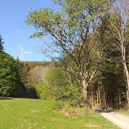 Chalet Des Platanes Entre L'alsace Et Les Vosges Nature