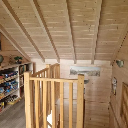 Des Platanes Entre L'alsace Et Les Vosges Nature 木屋 *