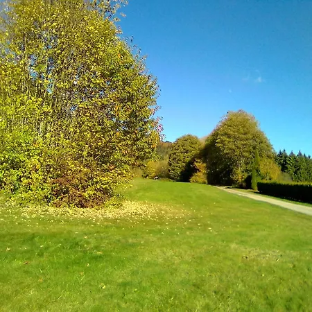 Chalet Des Platanes Entre L'alsace Et Les Vosges Nature *