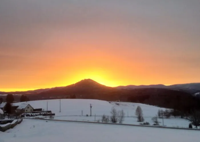 Des Platanes Entre L'alsace Et Les Vosges Nature *