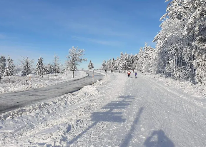 Des Platanes Entre L'alsace Et Les Vosges Nature La Grande Fosse