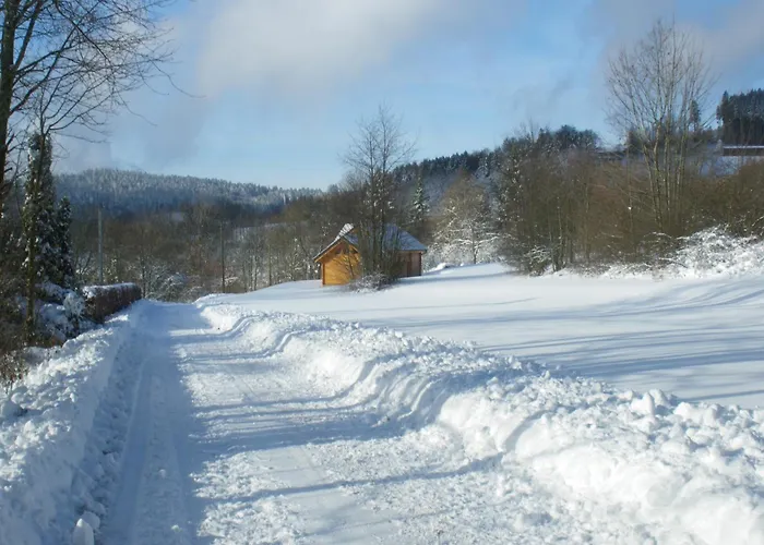Des Platanes Entre L'alsace Et Les Vosges Nature * La Grande Fosse