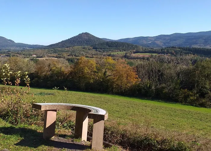 Des Platanes Entre L'alsace Et Les Vosges Nature Horská chata La Grande Fosse