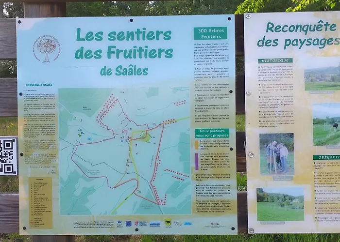 Des Platanes Entre L'alsace Et Les Vosges Nature *