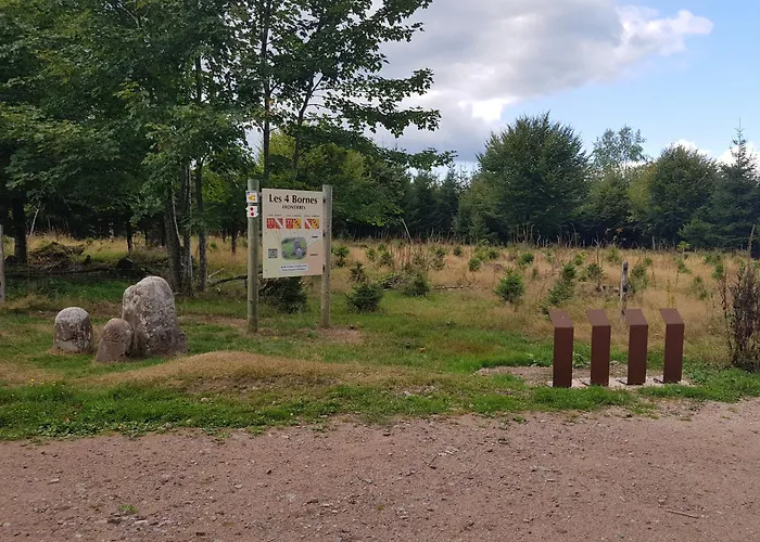 Des Platanes Entre L'alsace Et Les Vosges Nature La Grande Fosse