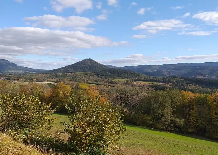Des Platanes Entre L'alsace Et Les Vosges Nature * La Grande Fosse