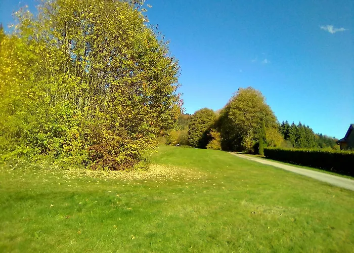 Horská chata Des Platanes Entre L'alsace Et Les Vosges Nature *